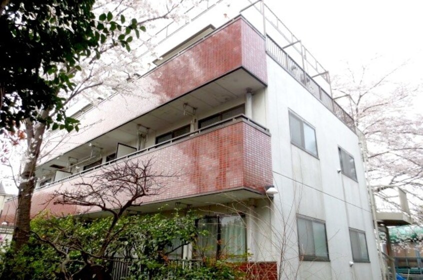 外観写真 メゾン中白根（２Ｆ）