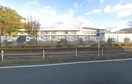 秦野市立すえひろ子供園(幼稚園/保育園)まで473m メゾンソフィアＣ