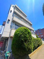 ビラ八重