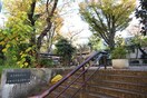 中町せせらぎ緑地(公園)まで10m シャレー祐天寺カワベ第７