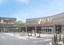 ヤオコー 東大和店(スーパー)まで218m 立野尾又ビル