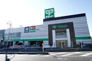 サミットストア踊場駅前店(ショッピングセンター/アウトレットモール)まで752m 鳥が丘戸建て