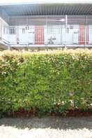 室内からの展望 カエデハイツＡ