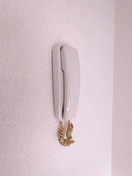 廊下 クラリスモナ