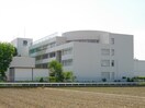 獨協埼玉中学・高等学校(中学校/中等教育学校)まで485m Ｋｏｌｅｔ越谷三野宮