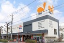 ダイエー小金井店イオンフード(スーパー)まで900m アルファコスモス