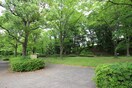 谷戸池公園(公園)まで1300m ウッド・ベル