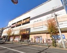ドンキホーテ(ディスカウントショップ)まで800m ファ－ムサイド　ハイツ