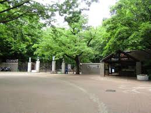 井の頭自然文化園(公園)まで850m エニシ吉祥寺Ⅰ