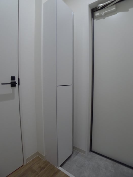 玄関 レジコスタ