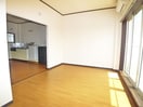 居室 ＤＫ　Ａｉｒｐｏｒｔ　ｆｌａｔ