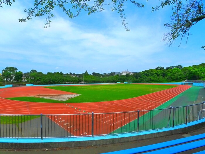 松戸運動公園(公園)まで557m ビュ－グリ－ンハイツⅡ