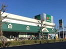 マルエツ(スーパー)まで580m グリーンパレス