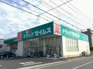セイムス(ドラッグストア)まで140m グリーンパレス