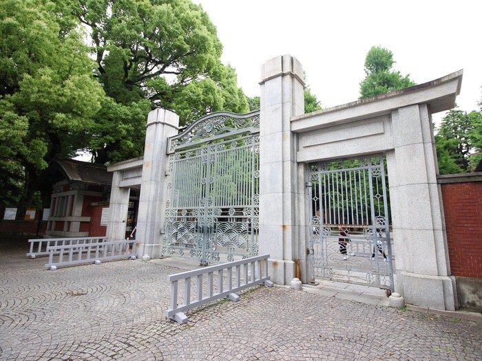 東京大学(大学/短大/専門学校)まで300m すい－とぴあ本郷