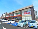 ロピアアクロスプラザ流山店(スーパー)まで549m グリ－ンウェ－ブⅢ棟