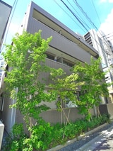 ビバーチェ