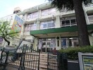 神宮前小学校(小学校)まで160m ガ－デン原宿