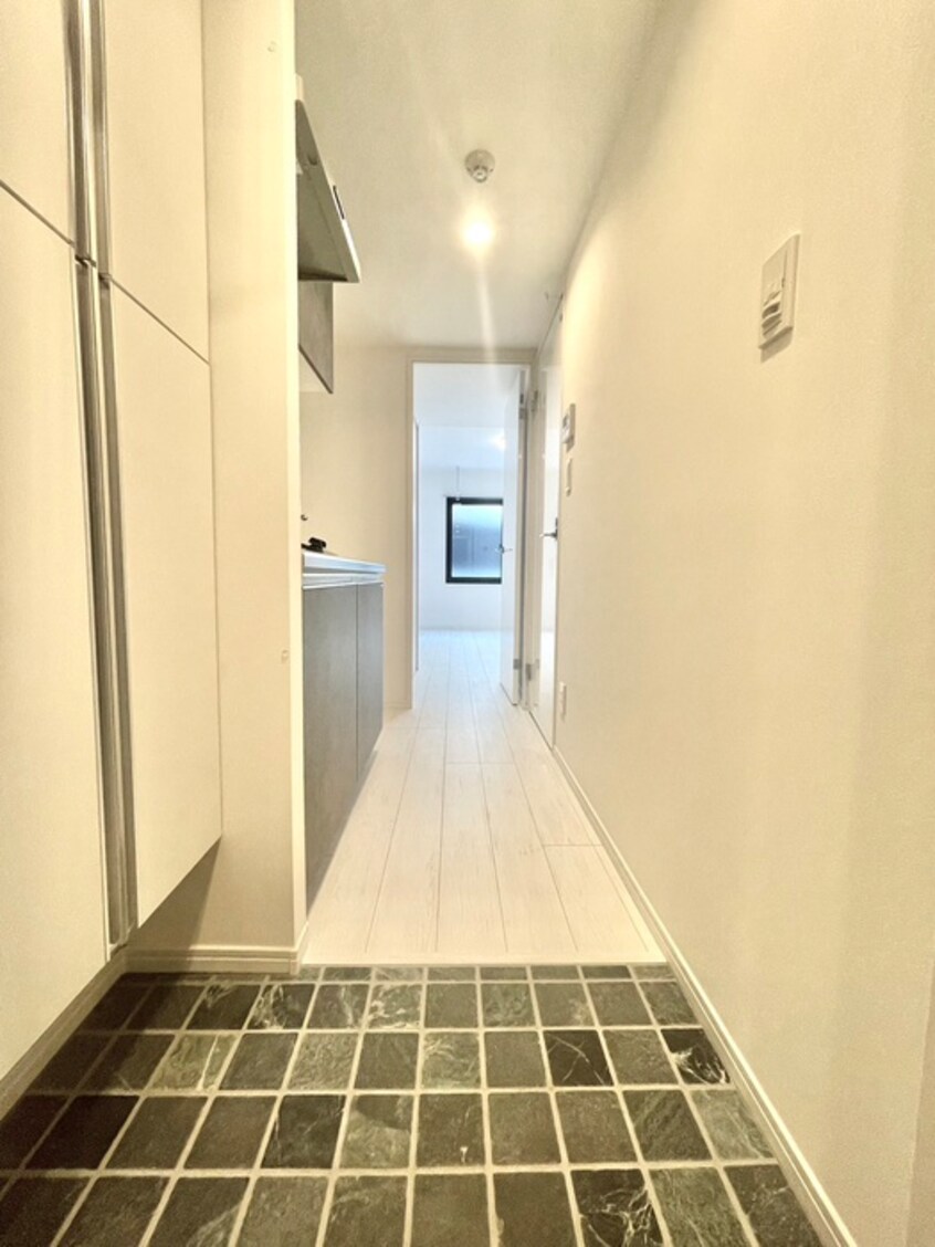 廊下 ベルシードステアー武蔵関(101)