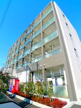 カンファー　トゥリー