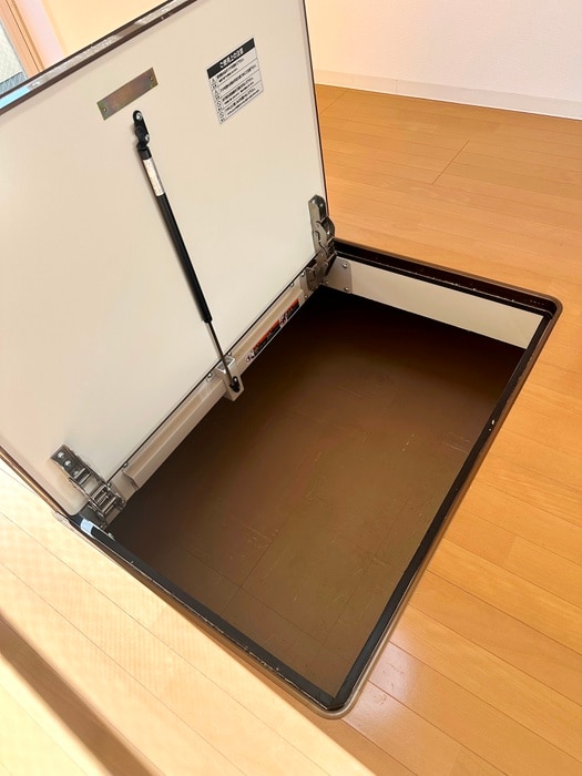 居室 ルネス第三銀生