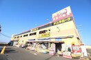 ドンキーホーテ三春店(ディスカウントショップ)まで780m たけざわハイム
