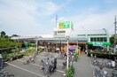 サミットストア 石神井台店(スーパー)まで362m プチハウス　大塚