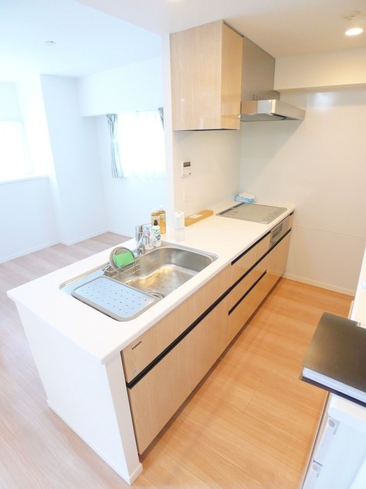 キッチン ｳｨｻﾞｰｽﾚｼﾞﾃﾞﾝｽ浜野駅前Ⅱ(1003)
