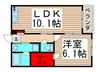 パインサ－クル 1LDKの間取り