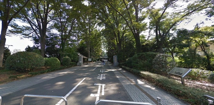 東京農工大学農学部(大学/短大/専門学校)まで1180m ひかりコーポ