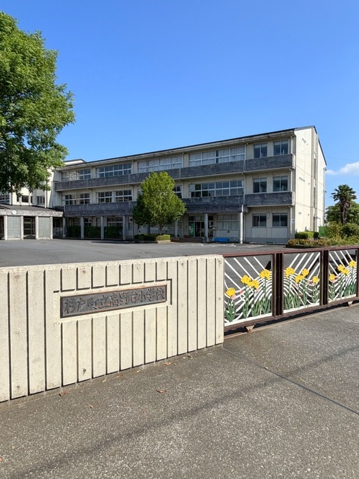 高野台小学校(小学校)まで220m プレシ－ルⅡ