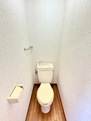 トイレ カ－サグリ－ングラス