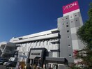 イオンスタイル板橋前野町店(スーパー)まで320m 木村荘