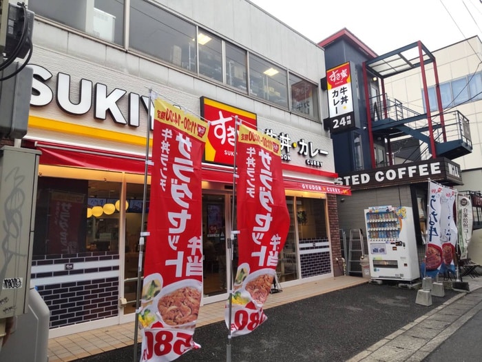 すき家(その他飲食（ファミレスなど）)まで800m アイランドハイツ