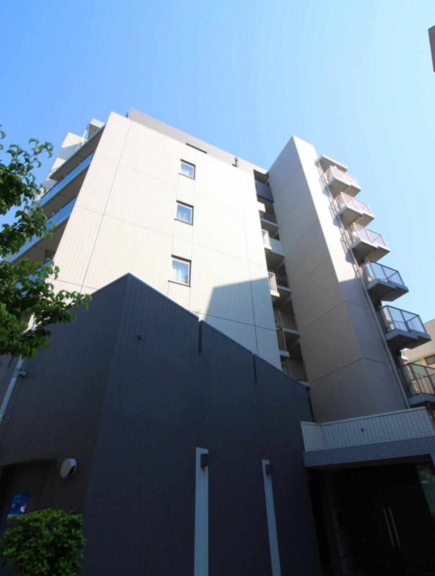 その他 Ｐｕｒｅ　Ｌａ