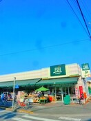 SUPER MARKET FUJI百草店(スーパー)まで558m 吉田ﾊｲﾂ