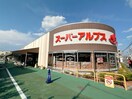 スーパーアルプス(スーパー)まで1807m メルディア八王子長沼