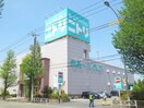 ニトリ(電気量販店/ホームセンター)まで650m キャピタルイン竹内