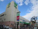 サミットストア 中野島店(スーパー)まで372m フラットさつき３