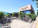 スターバックス(カフェ)まで242m MELDIA稲城長沼