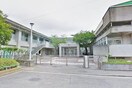 本郷台小学校(小学校)まで2200m シャルマンハイム