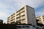 多摩川住宅ハ－１８号棟(106)