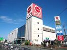 キャンドゥ ピアゴ座間店(スーパー)まで576m サウスコト－