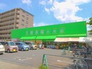 生鮮市場大井店(スーパー)まで300m FTゴールデンコート