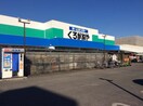 DCM(電気量販店/ホームセンター)まで450m アクシスコート大和