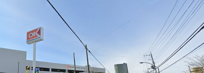 オーケー(スーパー)まで700m ＧＲＡＣＥ　ＧＡＲＤＥＮ