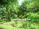 浅間山公園(公園)まで757m 第１あけしろ荘