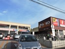ヤオコーとダイソー他(スーパー)まで742m セレステ志木本町