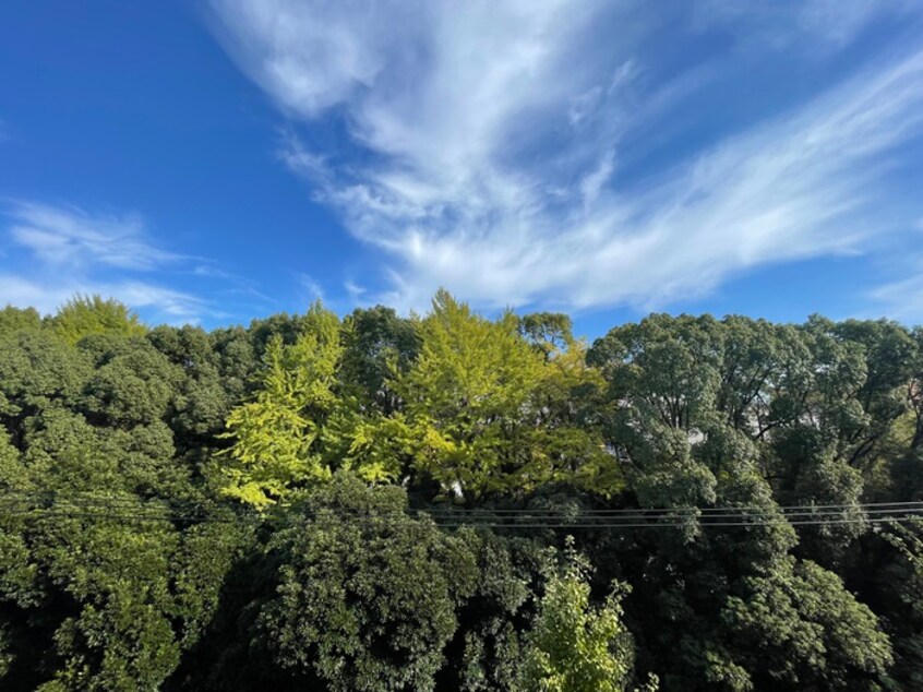 室内からの展望 ザ・パークハビオSOHO代々木公園