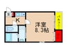 シグナス末広 1Kの間取り